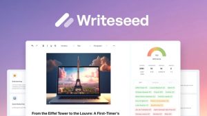 Appsumo Writeseed Review